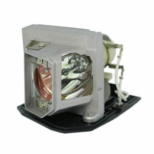 Replacement projector lamp - replacement,