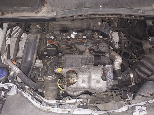 Engine ford transit connect - transit,