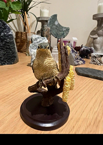 The country bird collection - country,