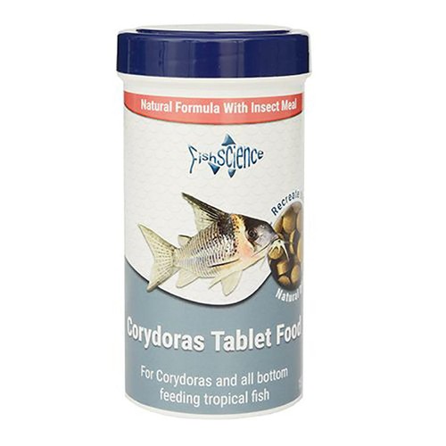Fish science corydoras - science,