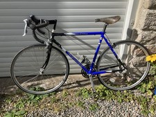 Dawes 21" Audax road bike