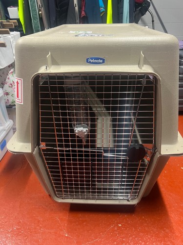 Xxl plastic - xxl, crate