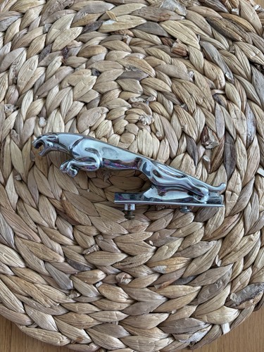 Jaguar leaper bonnet - bonnet, mascot