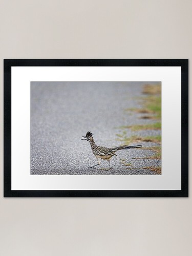 Roadrunner running the - running, by