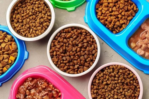Pet food - pet,