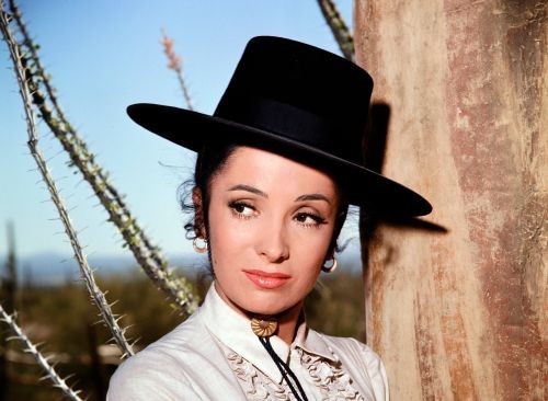 The high chaparral unsigned - high,