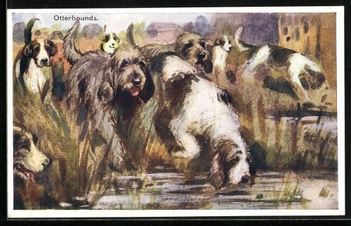 Waterfront otterhounds hunting - waterfront,
