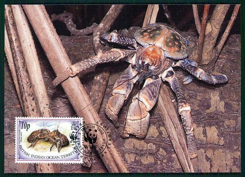Brit indies wwf fauna - mk,