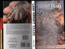 Keep LAND HERMIT CRABS as PETS