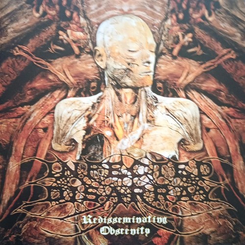 Infected disarray - infected,