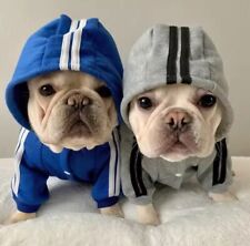 Adidog Dog Tracksuit Pet