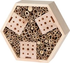 Butterfly Bee House Insect