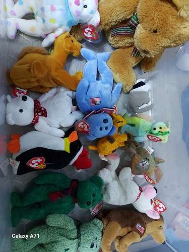 Beanie bears - ty,