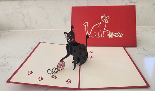 Pop cat with ball of - up,