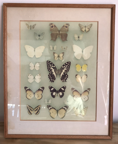 Wood framed vintage - vintage, poster
