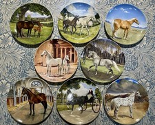 Spode plates “ The Noble Horse” Collection of 8 wall plates