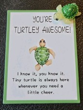 Pocket Hug / Pet Turtle Gift 