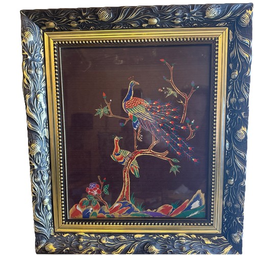 Peacock peahen peafowl framed - peacock,