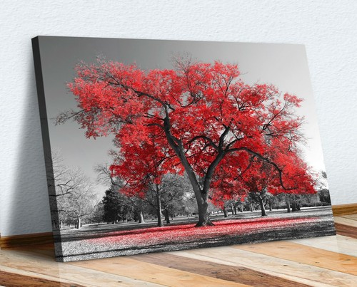 Large tree red - tree, black