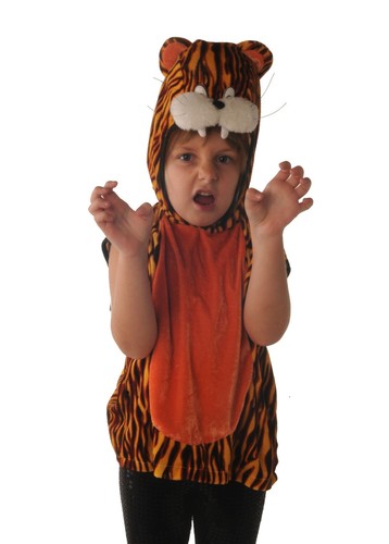 Cute tiger costume childs - costume,