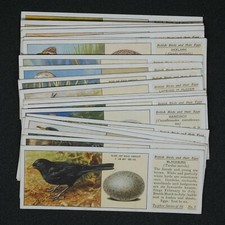 Typhoo Tea - British Birds And