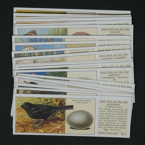 Typhoo tea british birds - tea,