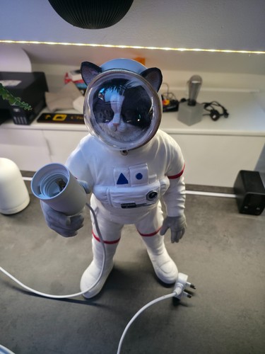 Cat spaceman table - spaceman,