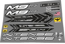 INTENSE M9 FRO frame decal