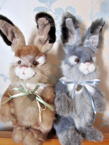 Charlie bears bunny rabbit - x,