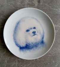 Natalia Mitlina Bichon Frise