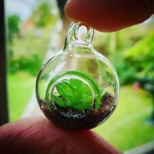 UNIQUE Handmade TINY TERRARIUM