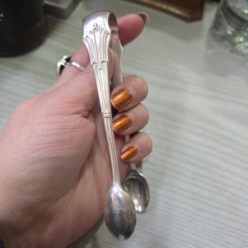 Sugar tongs solid - tongs,