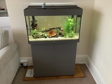 Juwel Rio 125 LED Aquarium and