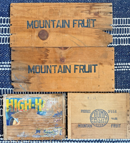 Mountain fruit vintage - mountain,