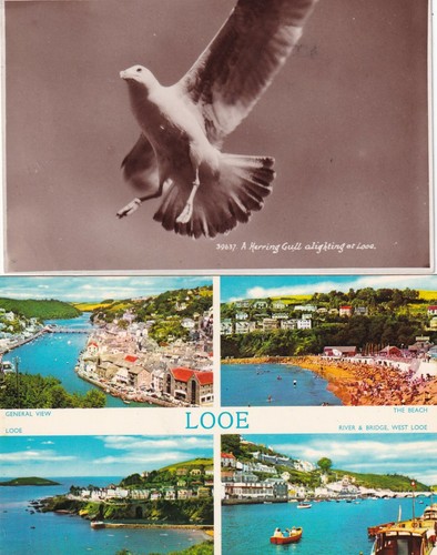 Looe cornwall 2 - 2, old