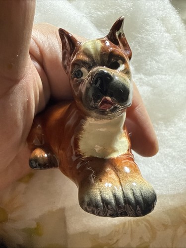 Boxer dog goebel germany - boxer, w.
