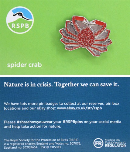 Rspb pin badge new - rspb,