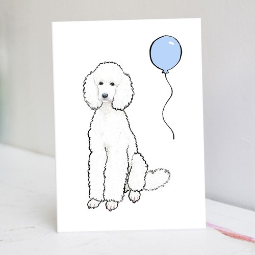 Party white poodle birthday - party,
