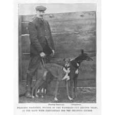 Coursing fearless footsteps - coursing,