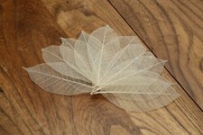 100 x Natural Skeleton Leaves Rubber Approx 3"/9 cm Craft Wedding Card Making