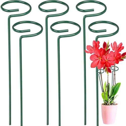 100 pack plant - 6-100,