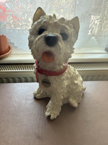 Westie west highland terrier - westie,