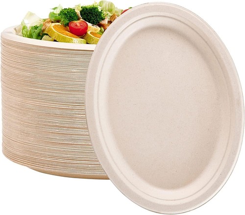 Strong bagasse disposable oval - bagasse,