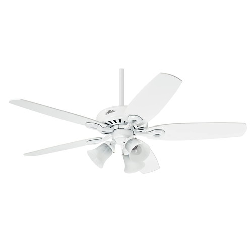 Hunter ceiling fan - ceiling, with