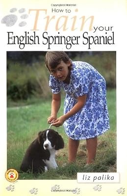 How train your english - to,