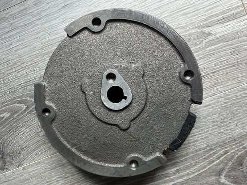 Electric start flywheel ring - electric,