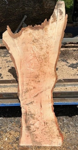 Live edge ash timber wood - edge,