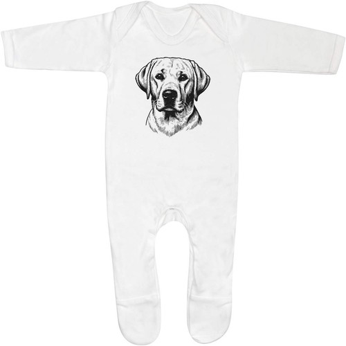 Golden labrador dog - 'golden, dog'