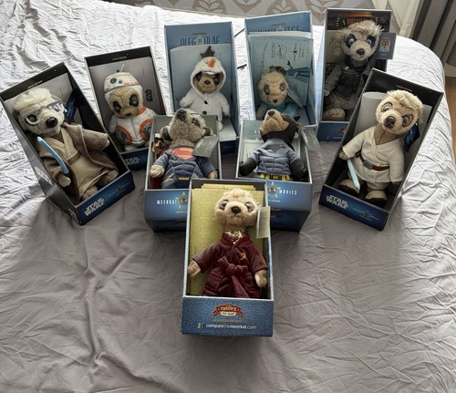 Meerkat collection - meerkat,