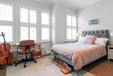 Double Bed - Button & Sprung (RRP £1,000) - Great Condition